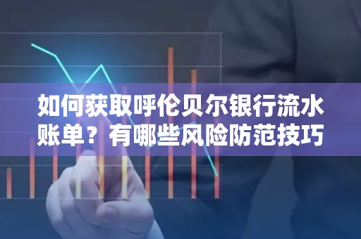 如何获取呼伦贝尔银行流水账单？有哪些风险防范技巧？