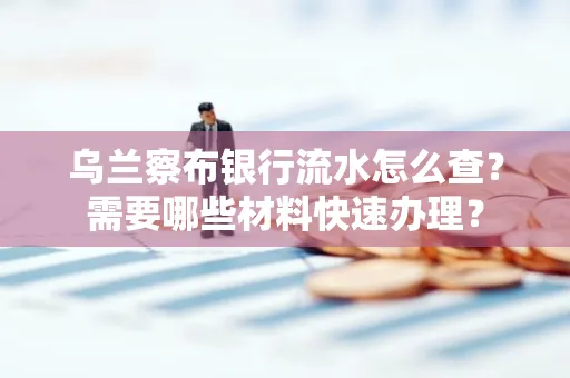 乌兰察布银行流水怎么查？需要哪些材料快速办理？