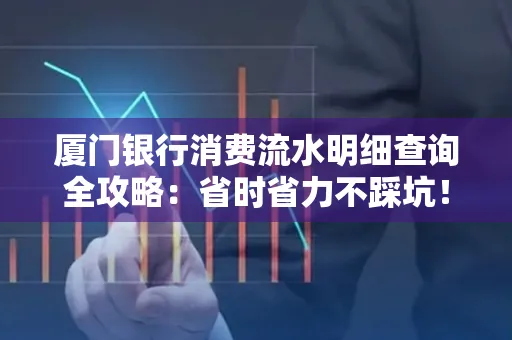 厦门银行消费流水明细查询全攻略：省时省力不踩坑！