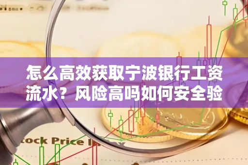 怎么高效获取宁波银行工资流水？风险高吗如何安全验证？