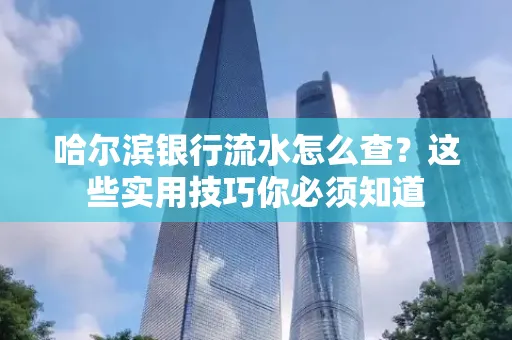 哈尔滨银行流水怎么查？这些实用技巧你必须知道