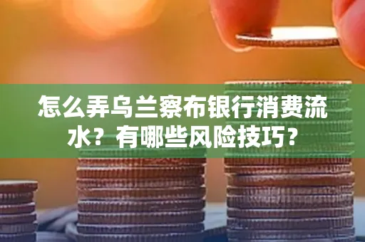 怎么弄乌兰察布银行消费流水？有哪些风险技巧？
