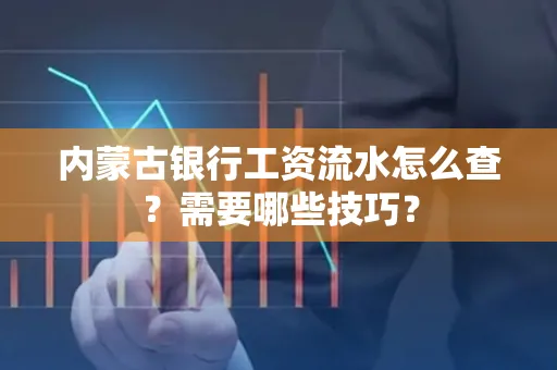 内蒙古银行工资流水怎么查？需要哪些技巧？