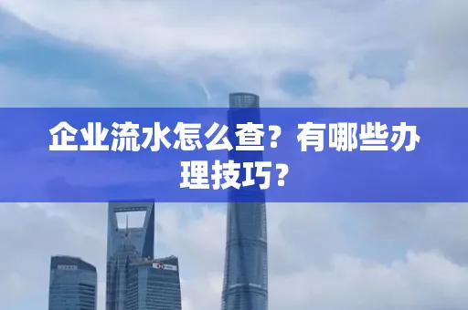 企业流水怎么查？有哪些办理技巧？