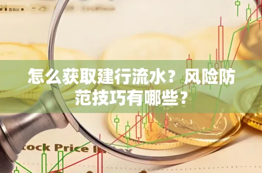 怎么获取建行流水？风险防范技巧有哪些？