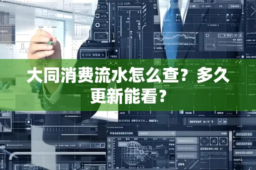 大同消费流水怎么查？多久更新能看？
