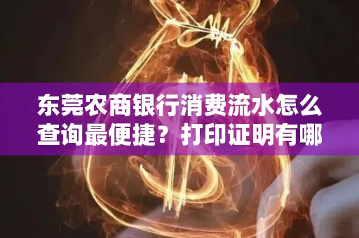 东莞农商银行消费流水怎么查询最便捷？打印证明有哪些风险需注意？