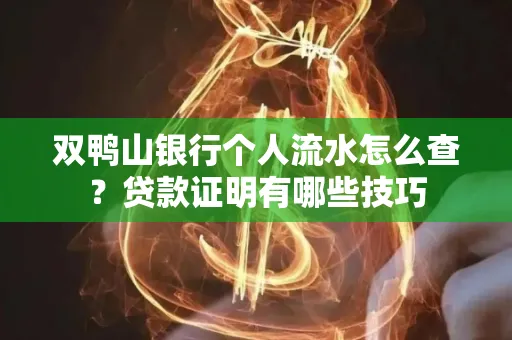 双鸭山银行个人流水怎么查？贷款证明有哪些技巧