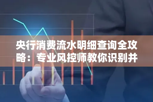央行消费流水明细查询全攻略：专业风控师教你识别并规避用卡风险！