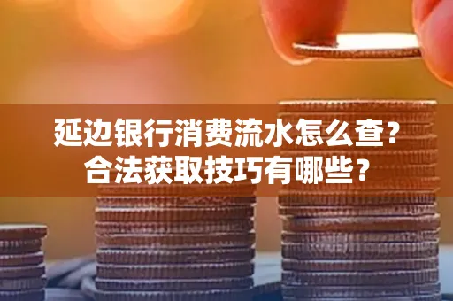 延边银行消费流水怎么查？合法获取技巧有哪些？