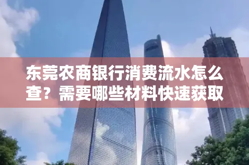 东莞农商银行消费流水怎么查？需要哪些材料快速获取？