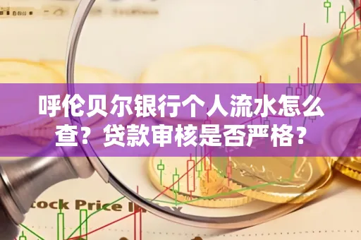 呼伦贝尔银行个人流水怎么查？贷款审核是否严格？